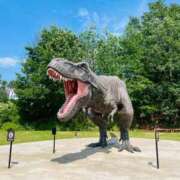 ヒメ日記 2025/07/18 07:34 投稿 まみ 完熟ばなな神戸・三宮店