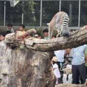 ヒメ日記 2025/10/08 08:56 投稿 まみ 完熟ばなな神戸・三宮店