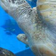 ヒメ日記 2025/10/09 15:59 投稿 まみ 完熟ばなな神戸・三宮店