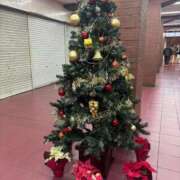 ヒメ日記 2025/11/04 07:57 投稿 まみ 完熟ばなな神戸・三宮店