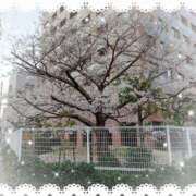 ヒメ日記 2025/04/04 07:11 投稿 まゆみ 完熟ばなな神戸・三宮店