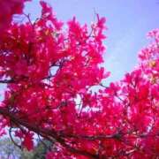 ヒメ日記 2025/04/16 11:31 投稿 まゆみ 完熟ばなな神戸・三宮店