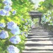 ヒメ日記 2025/05/21 10:49 投稿 まゆみ 完熟ばなな神戸・三宮店