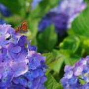 ヒメ日記 2025/06/11 15:26 投稿 まゆみ 完熟ばなな神戸・三宮店