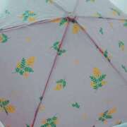 ヒメ日記 2025/08/27 11:48 投稿 まゆみ 完熟ばなな神戸・三宮店