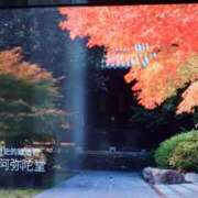 ヒメ日記 2025/09/12 07:52 投稿 まゆみ 完熟ばなな神戸・三宮店