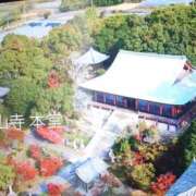 ヒメ日記 2025/11/01 12:14 投稿 まゆみ 完熟ばなな神戸・三宮店