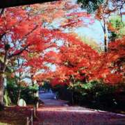 ヒメ日記 2025/11/16 09:39 投稿 まゆみ 完熟ばなな神戸・三宮店
