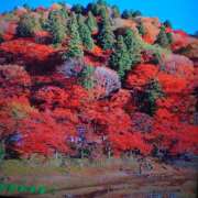 ヒメ日記 2025/11/23 14:44 投稿 まゆみ 完熟ばなな神戸・三宮店