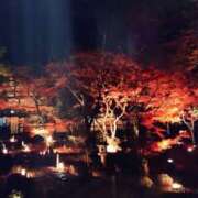 ヒメ日記 2025/12/06 09:51 投稿 まゆみ 完熟ばなな神戸・三宮店