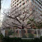 ヒメ日記 2026/02/04 12:00 投稿 まゆみ 完熟ばなな神戸・三宮店