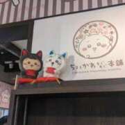 ヒメ日記 2024/12/25 16:02 投稿 さちこ 完熟ばなな神戸・三宮店