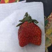 ヒメ日記 2025/02/23 15:15 投稿 さちこ 完熟ばなな神戸・三宮店