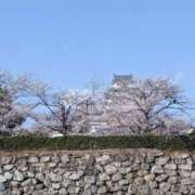 ヒメ日記 2025/04/11 14:44 投稿 さちこ 完熟ばなな神戸・三宮店