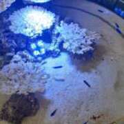 ヒメ日記 2025/07/30 14:26 投稿 さちこ 完熟ばなな神戸・三宮店