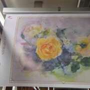 ヒメ日記 2025/09/26 14:45 投稿 さちこ 完熟ばなな神戸・三宮店