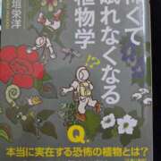 ヒメ日記 2025/11/03 14:00 投稿 さちこ 完熟ばなな神戸・三宮店
