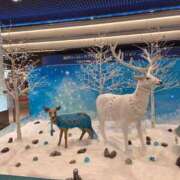 ヒメ日記 2025/11/07 14:20 投稿 さちこ 完熟ばなな神戸・三宮店