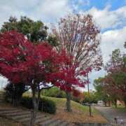 ヒメ日記 2025/11/28 16:53 投稿 さちこ 完熟ばなな神戸・三宮店
