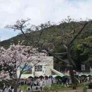 ヒメ日記 2026/04/06 11:56 投稿 さちこ 完熟ばなな神戸・三宮店