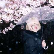 ヒメ日記 2026/03/13 19:10 投稿 あやね 新大阪秘密倶楽部