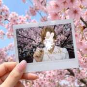 ヒメ日記 2026/04/05 20:35 投稿 あやね 新大阪秘密倶楽部