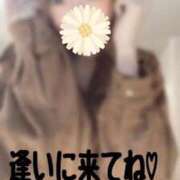 ヒメ日記 2026/03/13 20:21 投稿 ゆきな 即アポ奥さん〜名古屋店〜