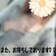 ヒメ日記 2026/04/09 13:21 投稿 ゆきな 即アポ奥さん〜名古屋店〜