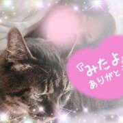 ヒメ日記 2025/02/26 20:35 投稿 さなえ モアグループ南越谷人妻花壇