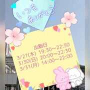ヒメ日記 2025/03/23 14:27 投稿 さなえ モアグループ南越谷人妻花壇