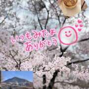 ヒメ日記 2025/04/07 22:48 投稿 さなえ モアグループ南越谷人妻花壇