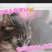 ヒメ日記 2025/06/30 09:33 投稿 さなえ モアグループ南越谷人妻花壇