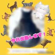 ヒメ日記 2025/09/08 10:54 投稿 さなえ モアグループ南越谷人妻花壇