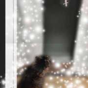 ヒメ日記 2025/09/10 14:09 投稿 さなえ モアグループ南越谷人妻花壇