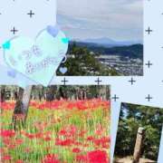 ヒメ日記 2025/09/22 20:27 投稿 さなえ モアグループ南越谷人妻花壇