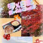 ヒメ日記 2025/11/27 23:42 投稿 さなえ モアグループ南越谷人妻花壇