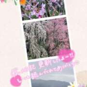 さなえ おはようございます❣️ モアグループ南越谷人妻花壇