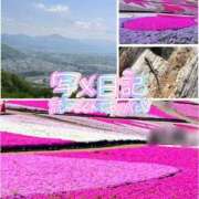 ヒメ日記 2026/04/20 22:27 投稿 さなえ モアグループ南越谷人妻花壇