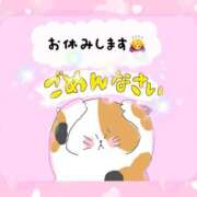 ヒメ日記 2026/06/01 08:27 投稿 さなえ モアグループ南越谷人妻花壇
