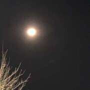 ヒメ日記 2024/12/09 23:34 投稿 美由紀 人妻・若妻デリヘル レディプレイス