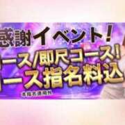 ヒメ日記 2024/12/17 19:55 投稿 美由紀 人妻・若妻デリヘル レディプレイス