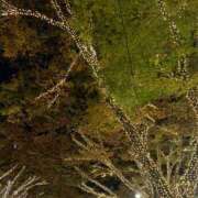 ヒメ日記 2024/12/26 22:45 投稿 美由紀 人妻・若妻デリヘル レディプレイス