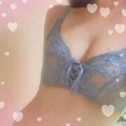 ヒメ日記 2024/12/29 19:58 投稿 美由紀 人妻・若妻デリヘル レディプレイス