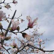 ヒメ日記 2025/03/28 21:00 投稿 美由紀 人妻・若妻デリヘル レディプレイス