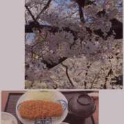 ヒメ日記 2025/04/04 21:49 投稿 美由紀 人妻・若妻デリヘル レディプレイス