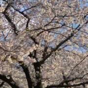 ヒメ日記 2025/04/09 19:28 投稿 美由紀 人妻・若妻デリヘル レディプレイス