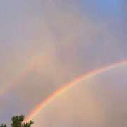 ヒメ日記 2025/04/15 18:29 投稿 美由紀 人妻・若妻デリヘル レディプレイス