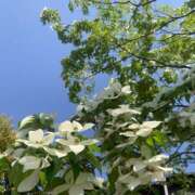 ヒメ日記 2025/05/13 20:20 投稿 美由紀 人妻・若妻デリヘル レディプレイス