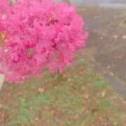 ヒメ日記 2025/10/01 21:48 投稿 美由紀 人妻・若妻デリヘル レディプレイス