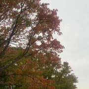 ヒメ日記 2025/11/05 18:28 投稿 美由紀 人妻・若妻デリヘル レディプレイス